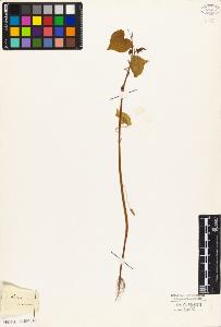 SW_BNB_s3010-03280_IMG-0000000001