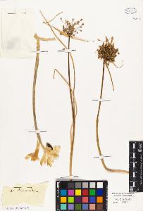 SW_BNB_s3010-03281_IMG-0000000001