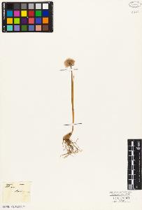 SW_BNB_s3010-03282_IMG-0000000001