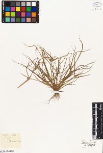 SW_BNB_s3010-03283_IMG-0000000001