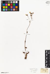 SW_BNB_s3010-03295_IMG-0000000001