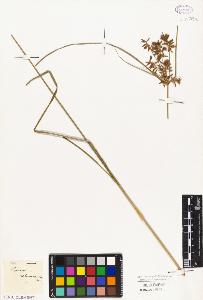 SW_BNB_s3010-03297_IMG-0000000001