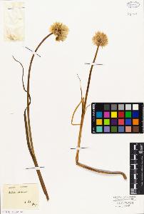 SW_BNB_s3010-03301_IMG-0000000001