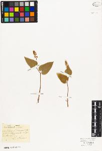 SW_BNB_s3010-03303_IMG-0000000001