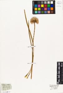 SW_BNB_s3010-03304_IMG-0000000001