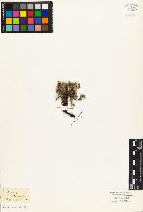 SW_BNB_s3010-03305_IMG-0000000001