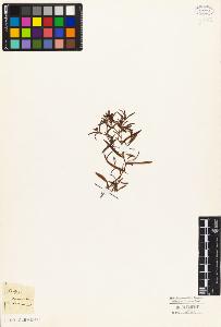 SW_BNB_s3010-03307_IMG-0000000001