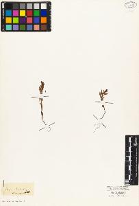 SW_BNB_s3010-03308_IMG-0000000001