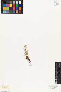 SW_BNB_s3010-03309_IMG-0000000001