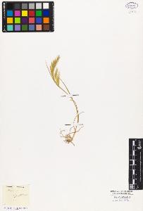 SW_BNB_s3010-03310_IMG-0000000001