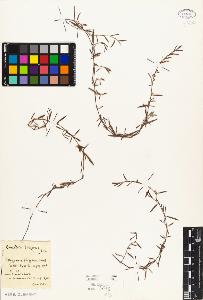 SW_BNB_s3010-03311_IMG-0000000001