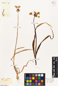 SW_BNB_s3010-03312_IMG-0000000001