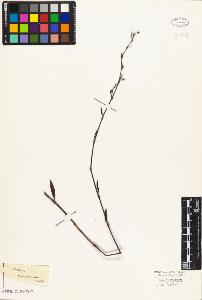 SW_BNB_s3010-03314_IMG-0000000001