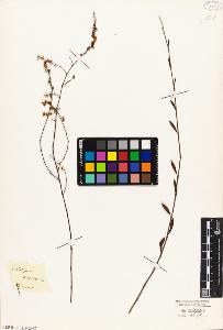 SW_BNB_s3010-03316_IMG-0000000001