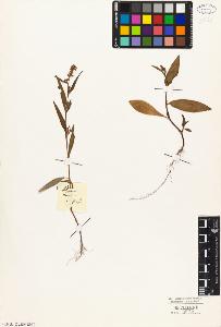 SW_BNB_s3010-03317_IMG-0000000001