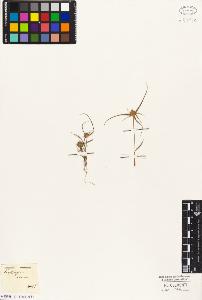 SW_BNB_s3010-03320_IMG-0000000001