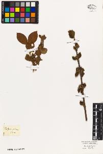 SW_BNB_s3010-03340_IMG-0000000001