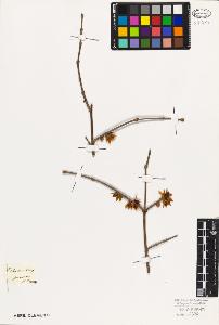 SW_BNB_s3010-03342_IMG-0000000001