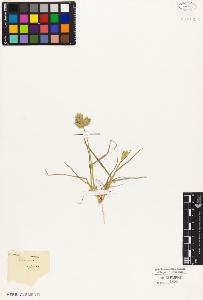 SW_BNB_s3010-03348_IMG-0000000001