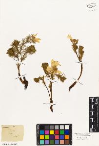 SW_BNB_s3010-03354_IMG-0000000001