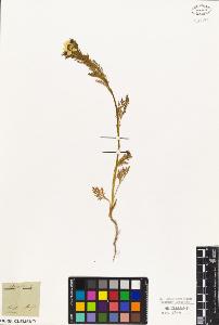 SW_BNB_s3010-03356_IMG-0000000001