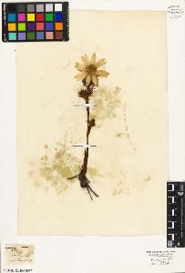 SW_BNB_s3010-03358_IMG-0000000001