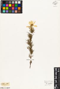 SW_BNB_s3010-03361_IMG-0000000001