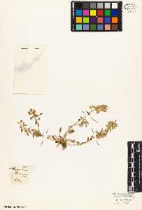SW_BNB_s3010-03372_IMG-0000000001