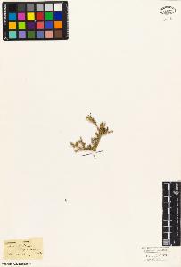 SW_BNB_s3010-03378_IMG-0000000001