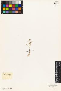 SW_BNB_s3010-03384_IMG-0000000001