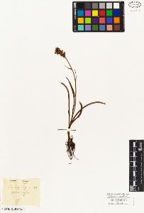 SW_BNB_s3010-03386_IMG-0000000001