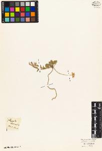 SW_BNB_s3010-03387_IMG-0000000001