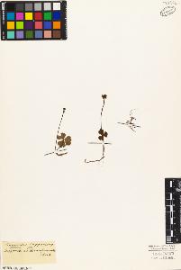 SW_BNB_s3010-03389_IMG-0000000001