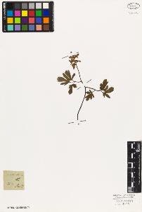 SW_BNB_s3010-03393_IMG-0000000001
