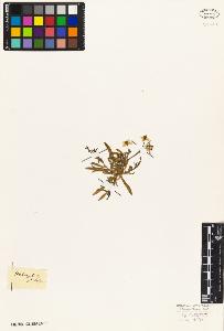 SW_BNB_s3010-03403_IMG-0000000001
