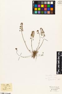 SW_BNB_s3010-03404_IMG-0000000001