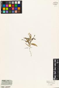 SW_BNB_s3010-03407_IMG-0000000001