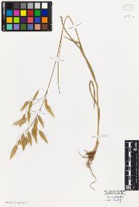 SW_BNB_s3010-03412_IMG-0000000001