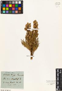SW_BNB_s3010-03413_IMG-0000000001