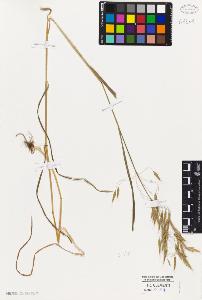 SW_BNB_s3010-03414_IMG-0000000001