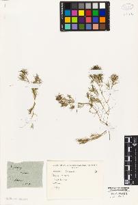 SW_BNB_s3010-03415_IMG-0000000001