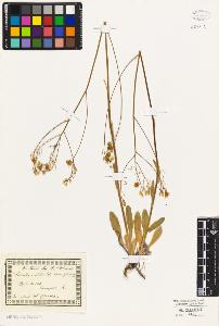 SW_BNB_s3010-03418_IMG-0000000001