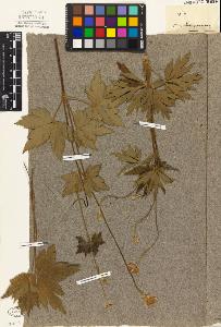 SW_BNB_s3010-03424_IMG-0000000001