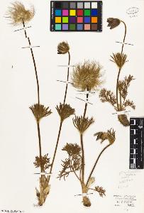 SW_BNB_s3010-03427_IMG-0000000001