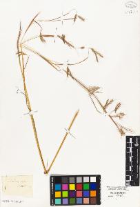 SW_BNB_s3010-03449_IMG-0000000001