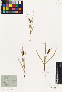SW_BNB_s3010-03451_IMG-0000000001