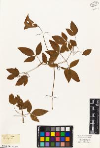 SW_BNB_s3010-03454_IMG-0000000001