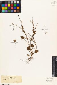 SW_BNB_s3010-03458_IMG-0000000001