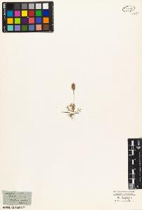SW_BNB_s3010-03459_IMG-0000000001