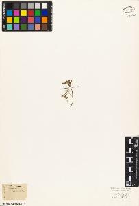 SW_BNB_s3010-03462_IMG-0000000001
